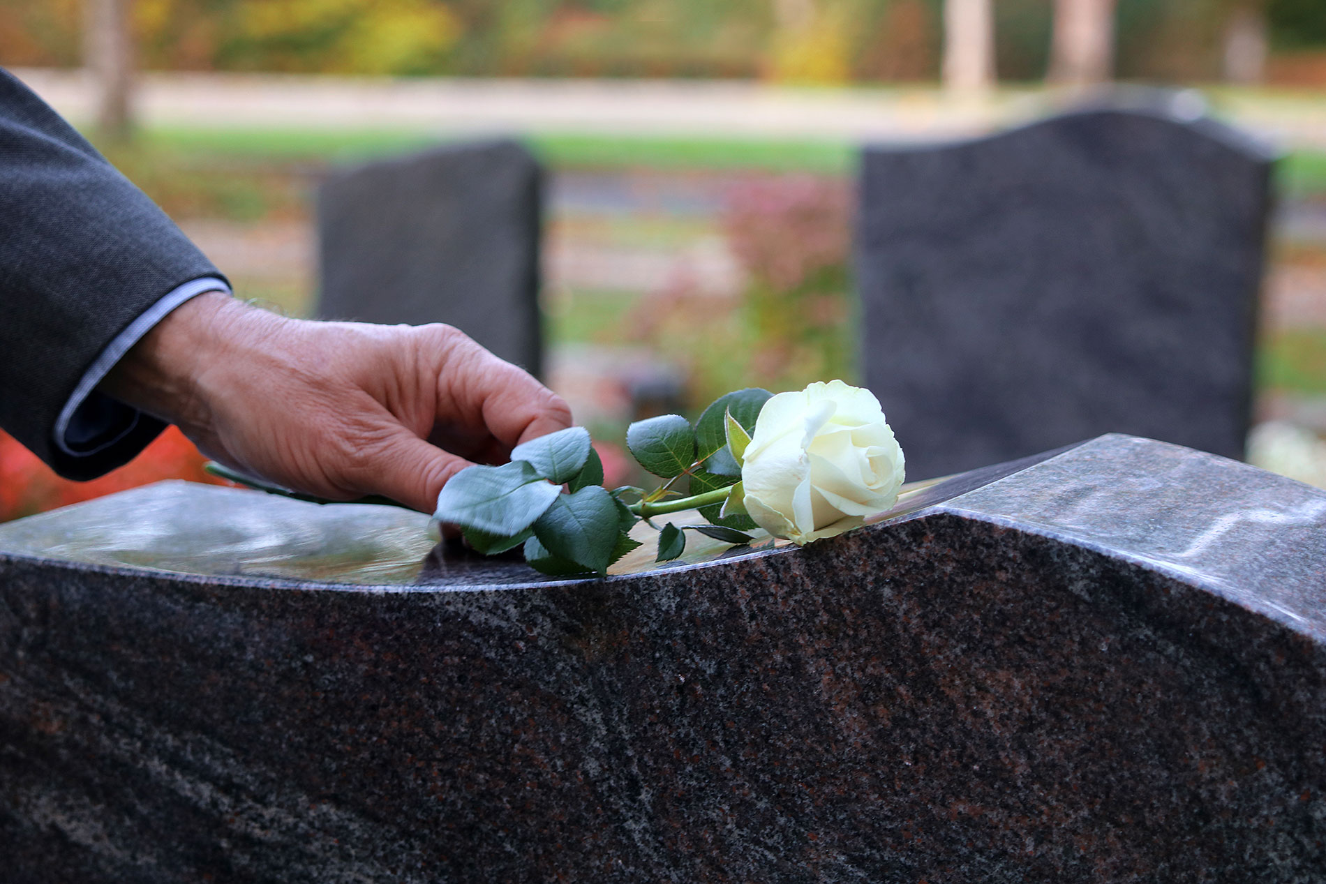 Mies laskee kukan hautakivelle